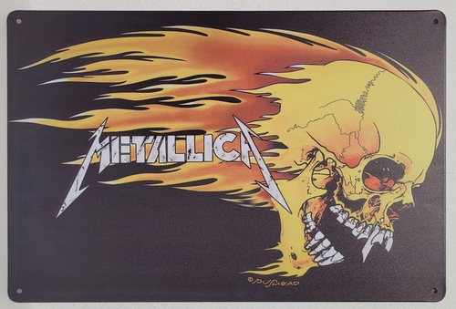 Metallica doodshoofd metalen wandbord