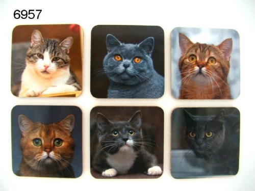 Katten poes set van 6 onderzetters