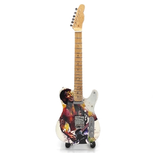 Mini gitaar Bruce Springsteen foto kleur